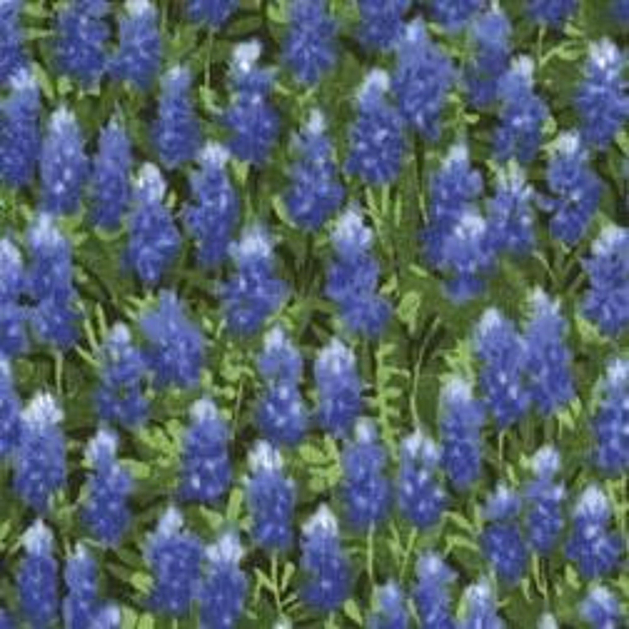 Wildflowers by Moda 32366-11 sold by 1/2 yd