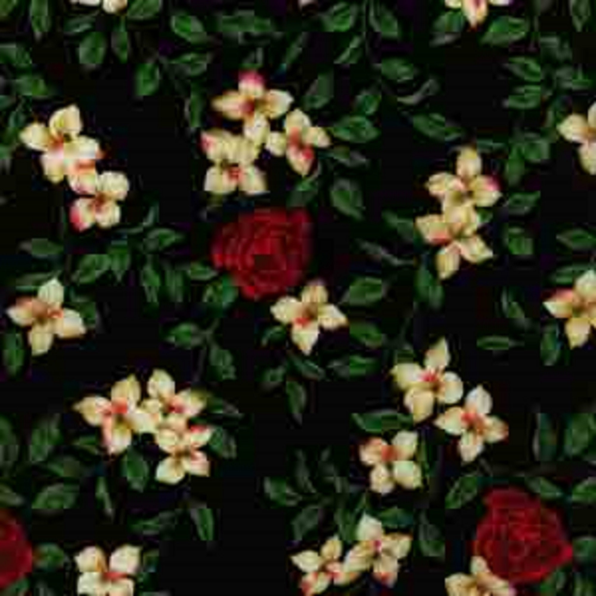 Legacy by RJR Fabrics 168702 black sold by 1/2 yd