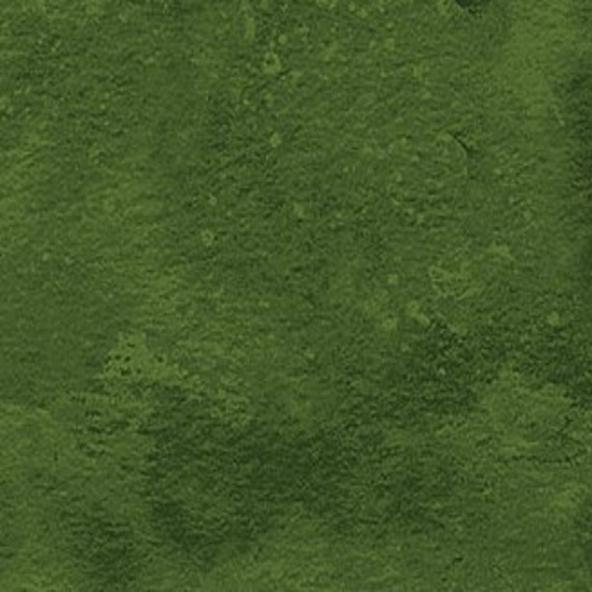Toscana by Deborah Edwards for Northcott Hemlock 9020-781 1/2 yd remnant
