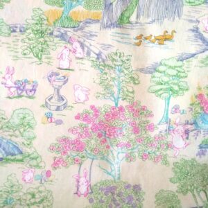 Unknown from Fabric Traditions one yard 29" remnant