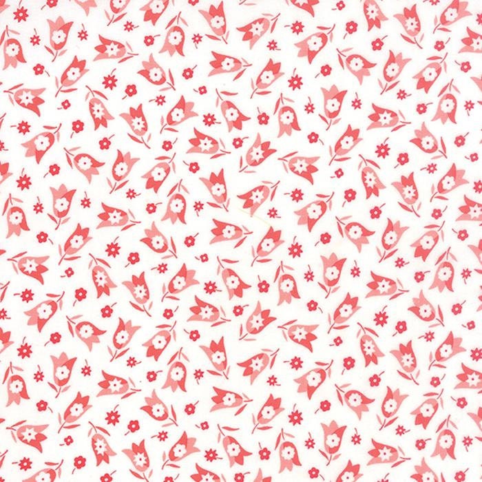 Simply Colorful by Vanessa Christenson for Moda 10847-21 White sold by the 1/2 yd.