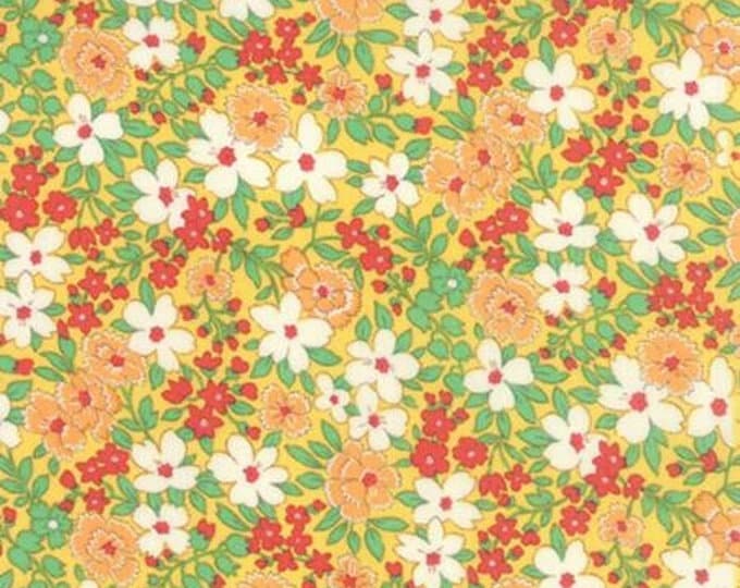Moda Fabrics