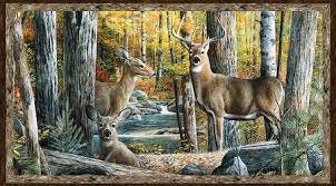 Hidden Valley Panel by Kevin Daniel for Wilmington Prints 30176-259 24"X44"