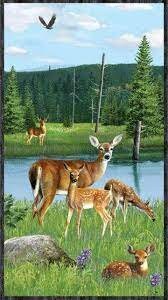 Oh Deer! Panel by Kevin Daniel for Wilmington Prints 30160-74 24"X44"