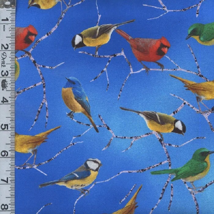 Floral Forest Bright Colorful Birds by Chong-a Hwang for Timeless Treasures CD 1824 Blue sold by the 1/2 yd.