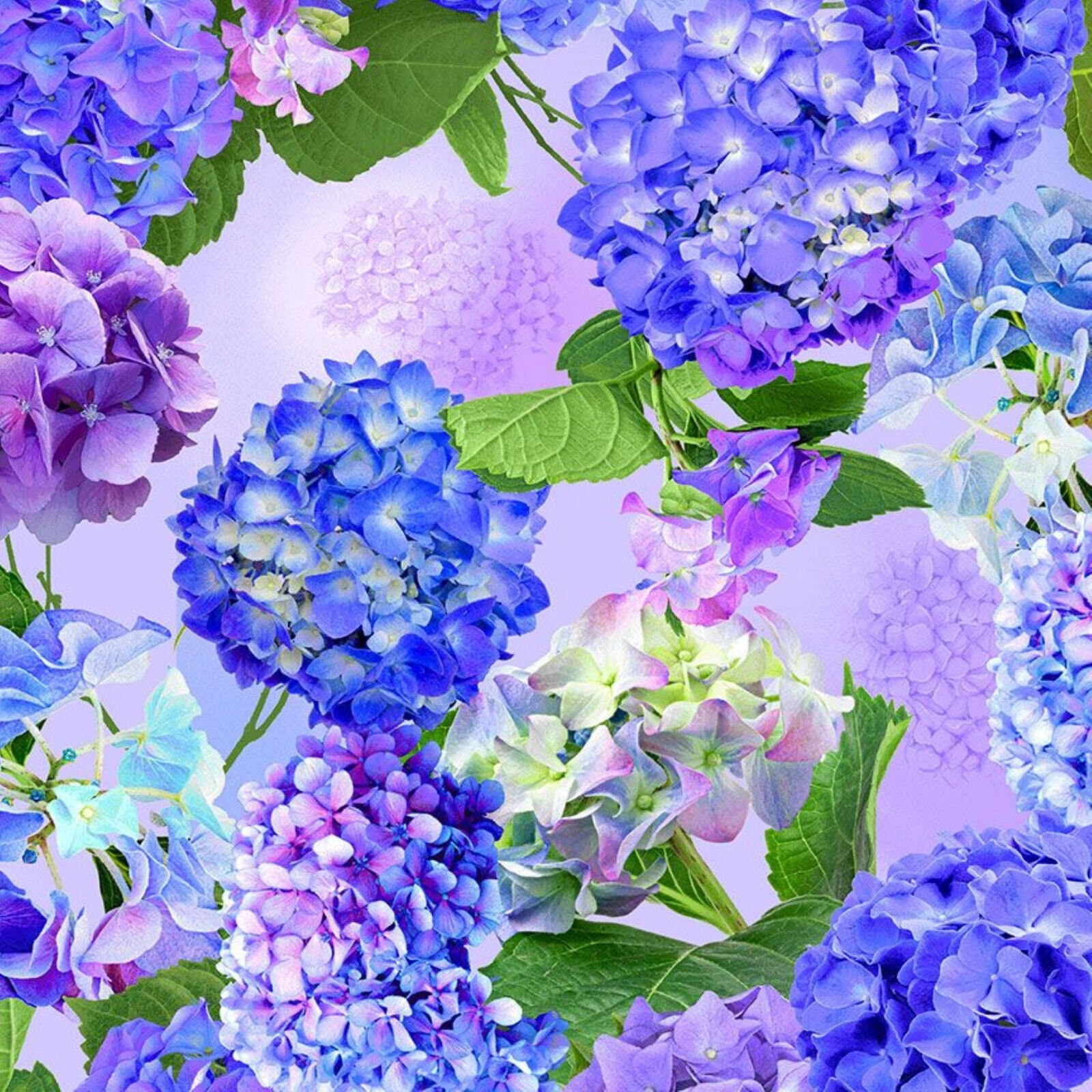 Hydrangea Bliss Large Floral by Chong-a Hwang for Timeless Treasures CD 1963 Purple one yard remnant