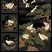 Mandolin Panel by Deborah Edwards for Northcott Fabrics 220507m-99 Black 23"X44"