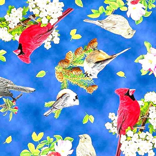 Songs of Nature Songbird Toss by Robert May Quilting Treasures No# sold by the 1/2 yd.