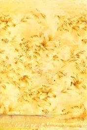 Daylily 118" wide by FabriQuilt 123-2556 Yellow 3 yds. only