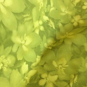 Catalina Tonal Blossoms by Marti Mitchell for Maywood Studios MAS8406-G2 Green 28" remnant