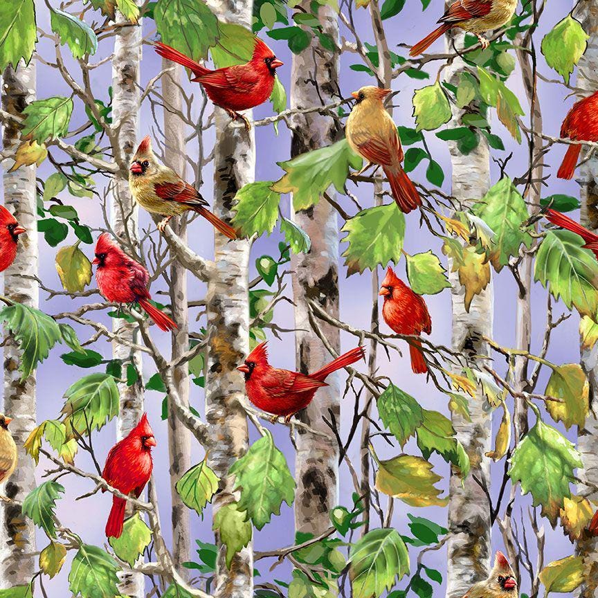Cardinals on Birch Trees by Dona Gelsinger for Timeless Treasures CD3198 Multi sold by the 1/2 yd.