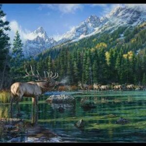 Step Into The Wilderness Panel by Elizabeth's Studio 8915E-Black 36"X42"