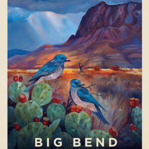 Big Bend National Park Panel 15097 by Anderson Design Group for Riley Blake Designs 36"X44"