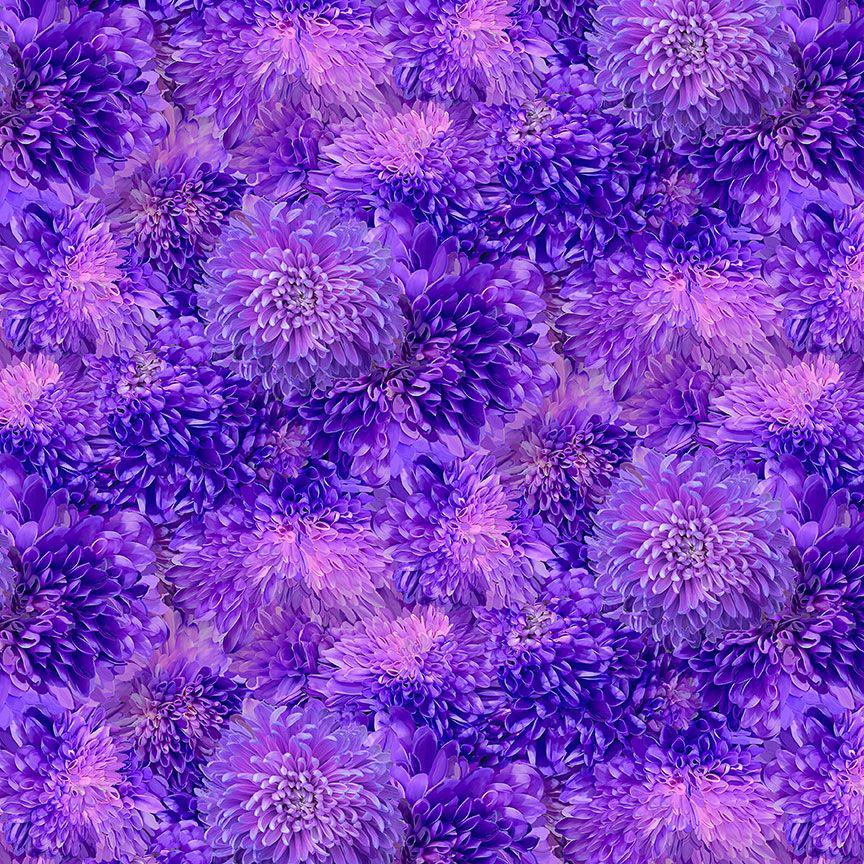 Garden Delight Packed Flowers by Timeless Treasures CD3504 Purple sold by the 1/2 yd.