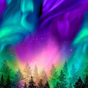 Aurora Panel Northern Lights by Timeless Treasures CD8456 Multi 24"X44"