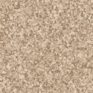 Colorblends by Quilting Treasures 23528-AK Taupe 3/4 yard remnant