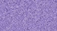 Colorblends by Quilting Treasures 23528-L Wisteria sold by 1/2 yd