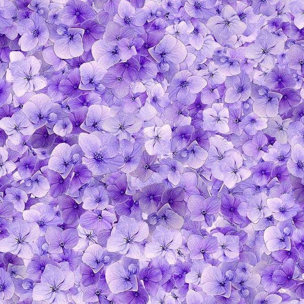 Garden Delight Fleur by Timeless Treasures CD3505 Lilac sold by the 1/2 yd.