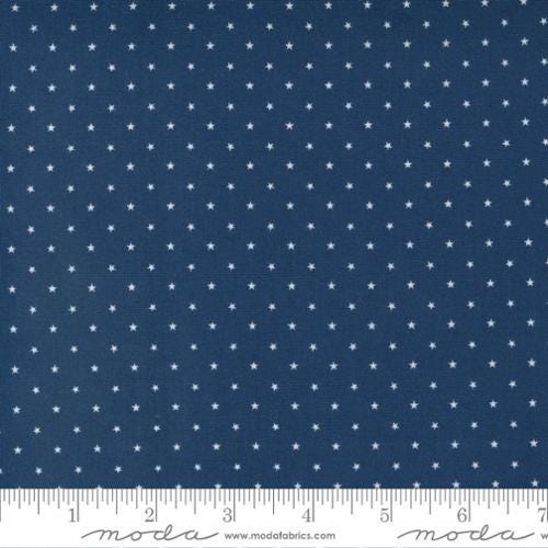 Zinnia Twinkle By Moda Fabrics 24106-50 Night 1/2 yd remnant