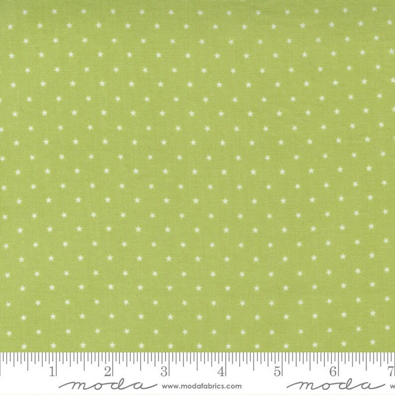 Zinnia Twinkle By Moda Fabrics 24106-54 Sprout 1/2 yard remnant
