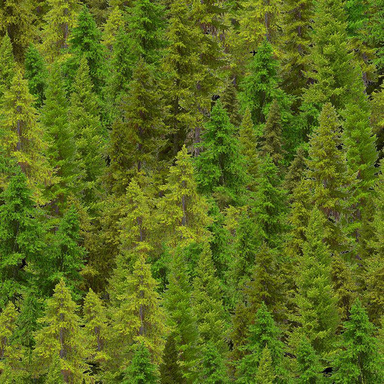 Evergreen Forest by Chong-a Hwang for Timeless Treasures NATURE-Cd3831 Green sold by the 1/2 yd.